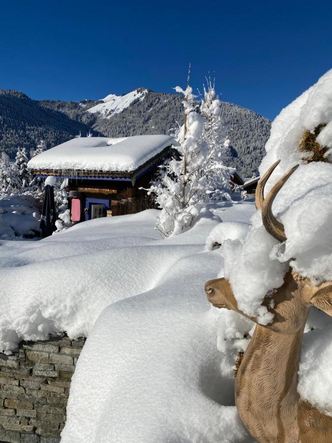 Micro-Lodge, Le Petit Nid D'Amour Montriond Exterior photo