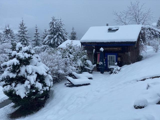 Micro-Lodge, Le Petit Nid D'Amour Montriond Exterior photo