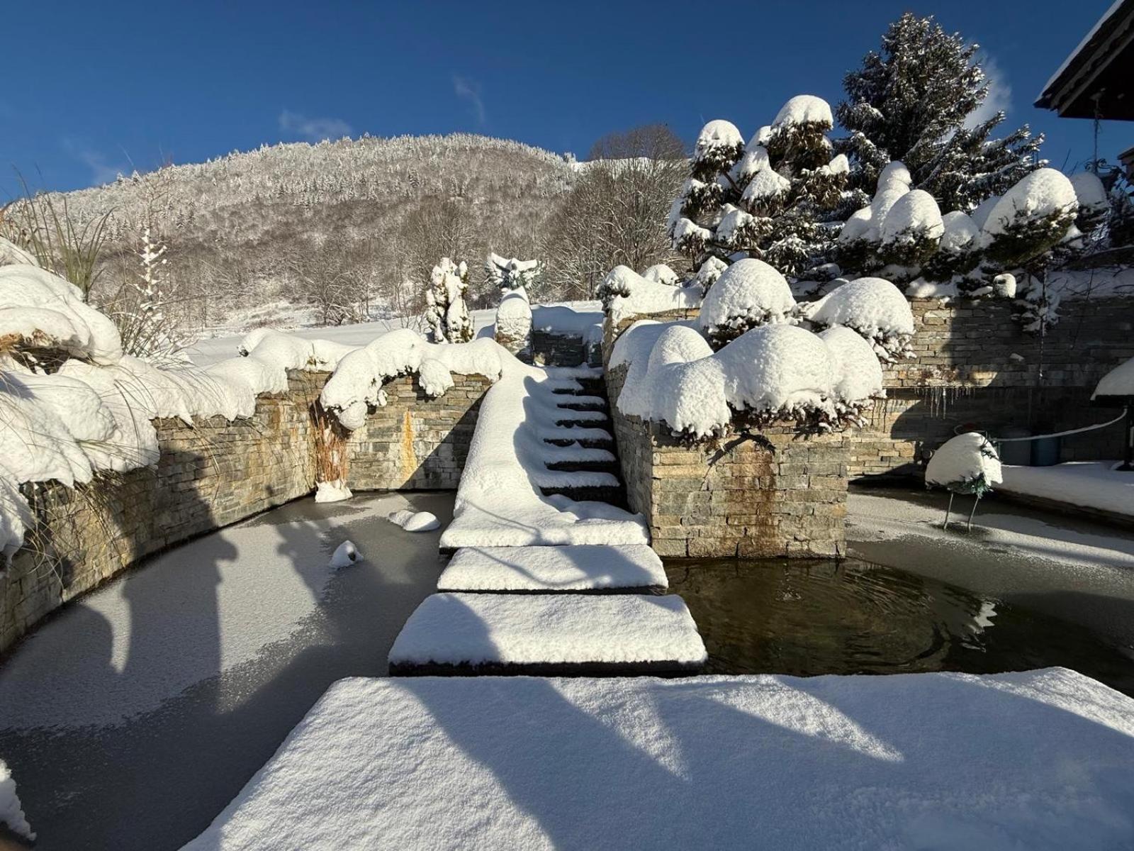 Micro-Lodge, Le Petit Nid D'Amour Montriond Exterior photo