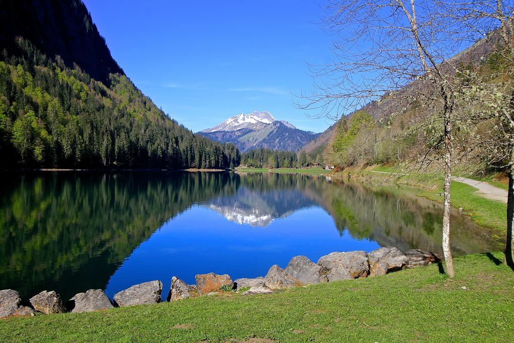 Micro-Lodge, Le Petit Nid D'Amour Montriond Exterior photo